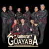 Sonora Guayaba Mix 30 Años: Rosa María - Donde Estas Yolanda - Besito de Coco