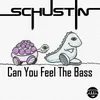 Can You Feel the Bass-Radio Edit