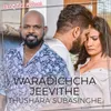 About Paradichcha Jeevithe Song