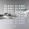 About Blame Song