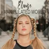 About Manipulated World Song