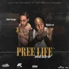 About Pree Life (Dont Size up) Song
