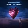 About What is Love Song