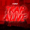 About Trap Alive Song
