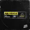About Big Orgus Song