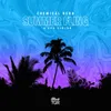 About Summer Fling Song