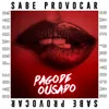 About Sabe Provocar Song