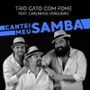 About Cantei Meu Samba Song