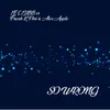 So Wrong-Salvo DJ Mix