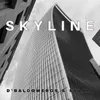 About Skyline Song