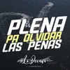 Plena para Olvidar las Penas: Salsa Pa' Olvidar las Penas