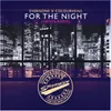 For the Night Vadds Remix