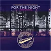 For the Night Vadds Extended Remix