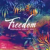 About Freedom Song