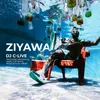 About Z'yawa Song