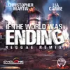 About If the World Was Ending Reggae Remix Song