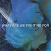 What Are We Fighting For
