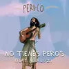 About No Tienes Peros Song