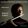 Recorder Sonata in F Minor, TWV 41:F1: I. Triste