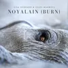 About Noyalain (Burn) Song