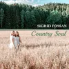 About Country Soul Song