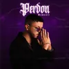 About Perdón Song