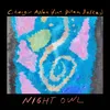 About Night Owl Song