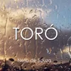 About Toró Song