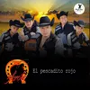 About El Pescadito Rojo Song