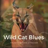 About Wild Cat Blues Song