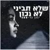 About שלא תביני לא נכון - קאבר Song