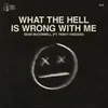 About What the Hell is Wrong with Me Song