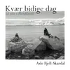 About Hver Bidige Dag Song