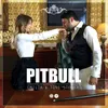 About Pitbull Song