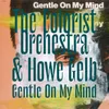 About Gentle on My Mind Song