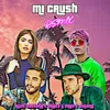 About Mi Crush Remix Song