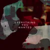 About Everything You Wanted Song