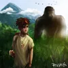 About King Kong Song