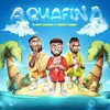 About Aquafina Song