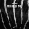 About Without You Song