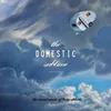 The Domestic Sublime: VI. At The Clothesline