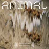 Animal (feat. Geoffroy)