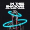 About In the Shadows Song