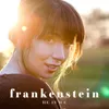 About Frankenstein Song