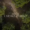 About A Medio Camino Song