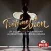 About Trátame Bien (Jingle Picó) Song