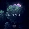 About Nova Song