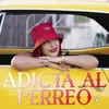 About Adicta al Perreo Song