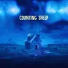 About Counting Sheep Song