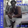 Mister Smart in Dub